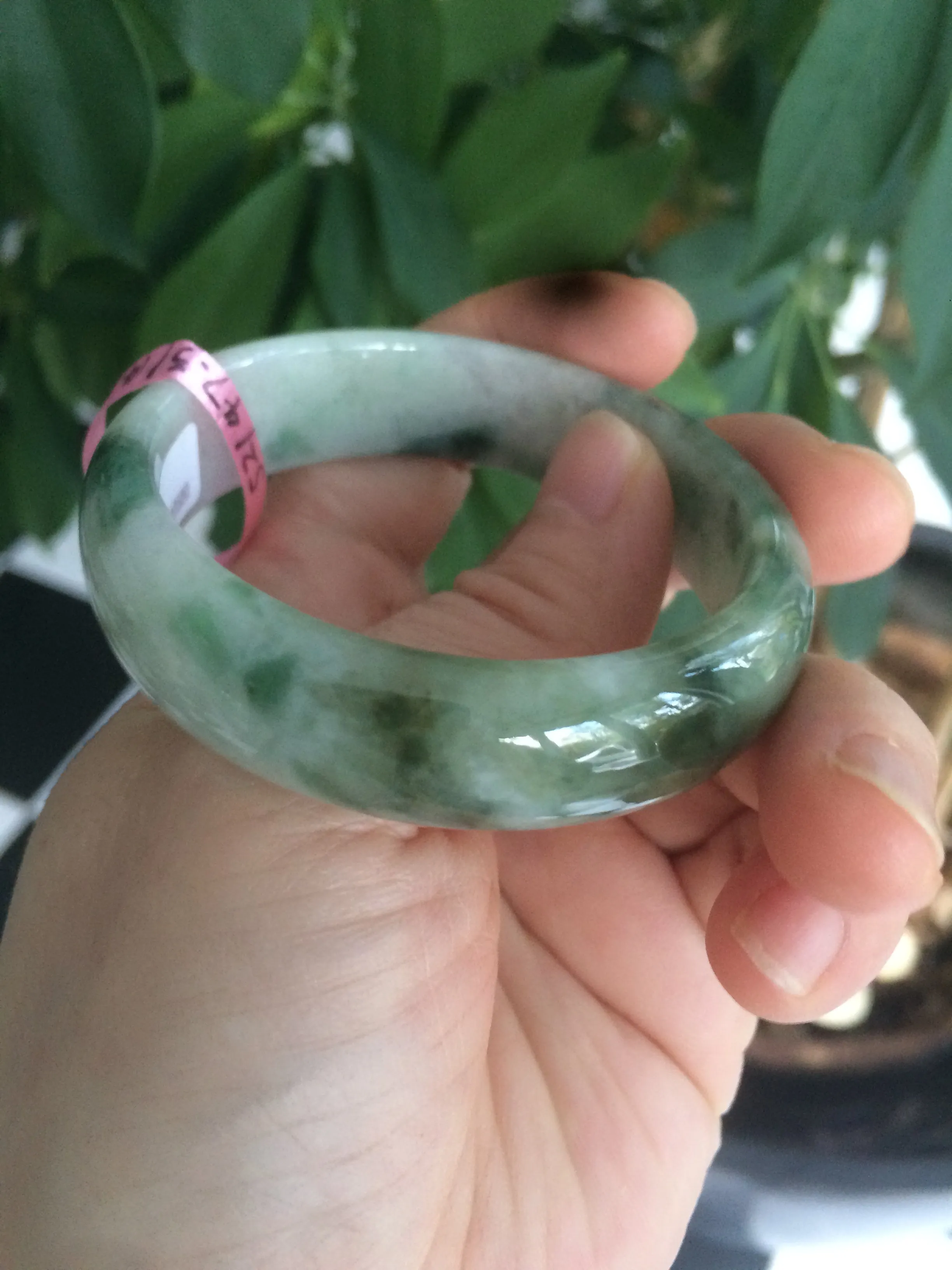 49.5 mm 100% natural Type A green/white oval jadeite jade bangle Z39