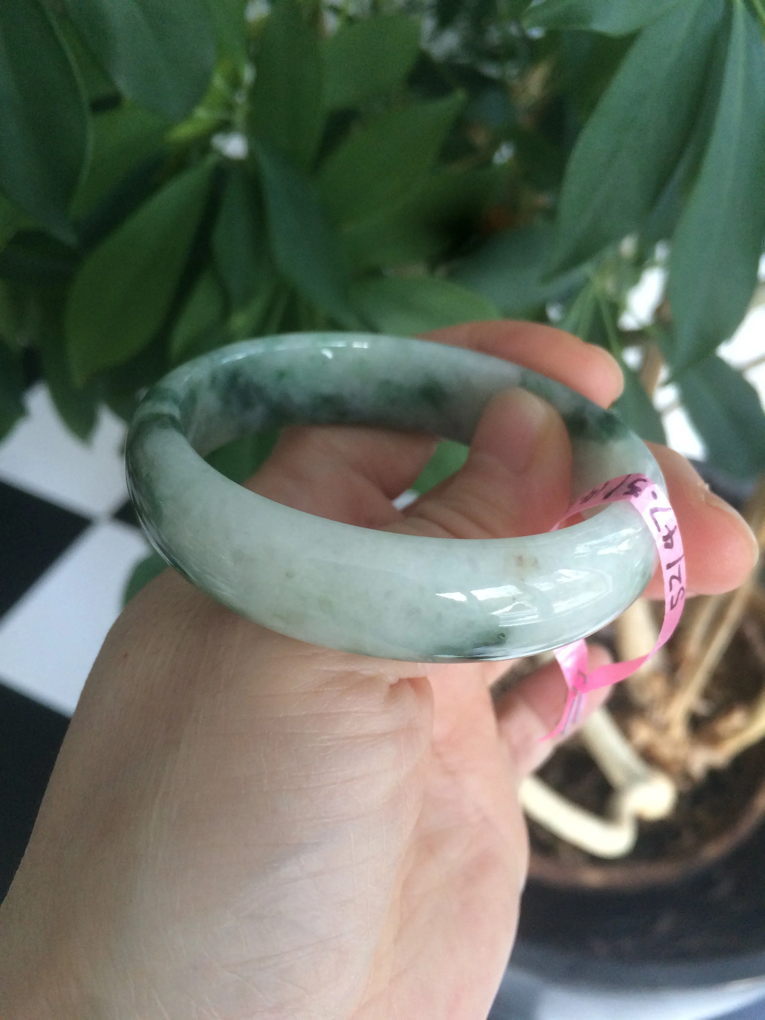 49.5 mm 100% natural Type A green/white oval jadeite jade bangle Z39