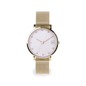 Small stainless steel stones watch